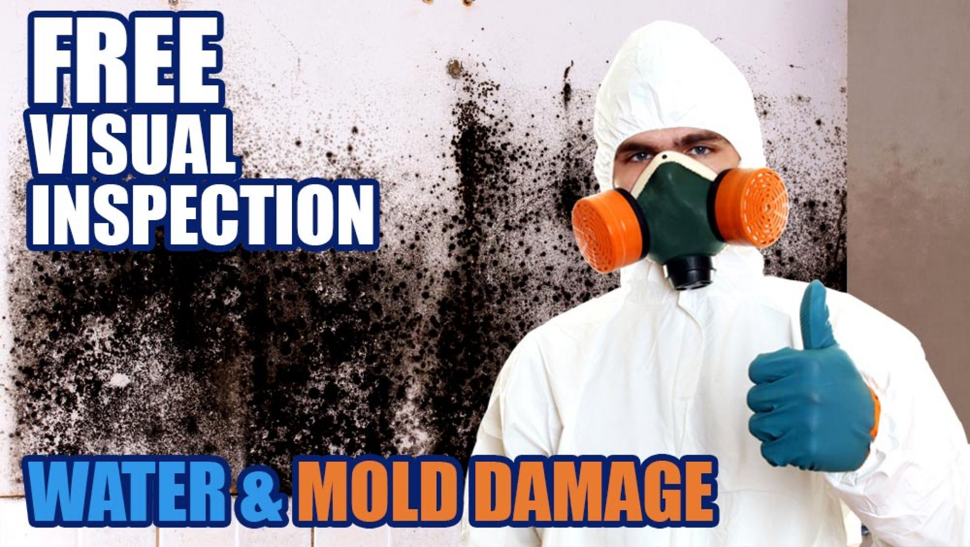 Mold Pros Free Visual Inspection
